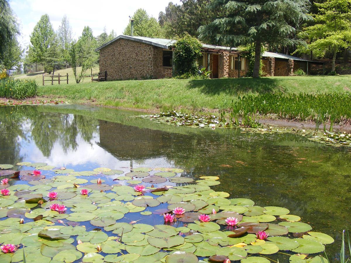 Meadow Lane Country Cottages อันเดอร์เบิร์ก ภายนอก รูปภาพ