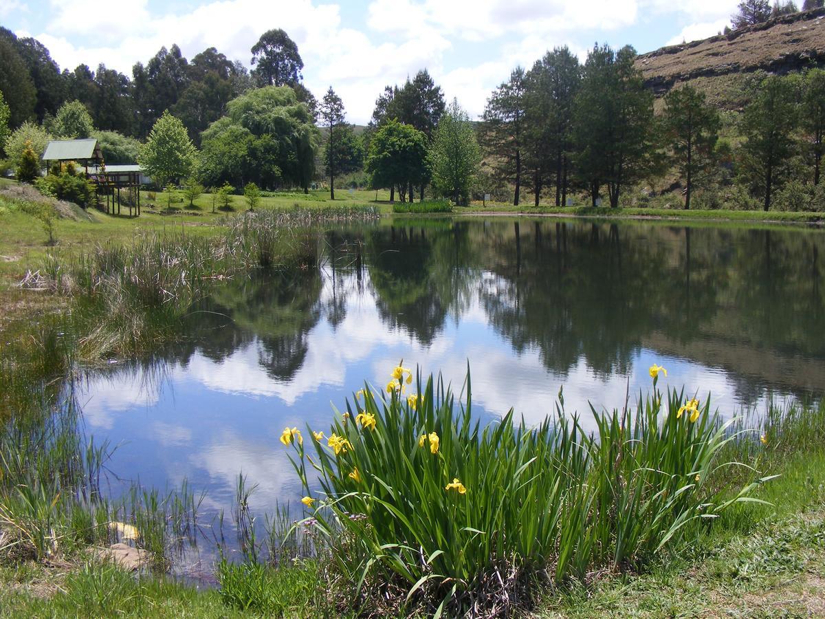 Meadow Lane Country Cottages อันเดอร์เบิร์ก ภายนอก รูปภาพ