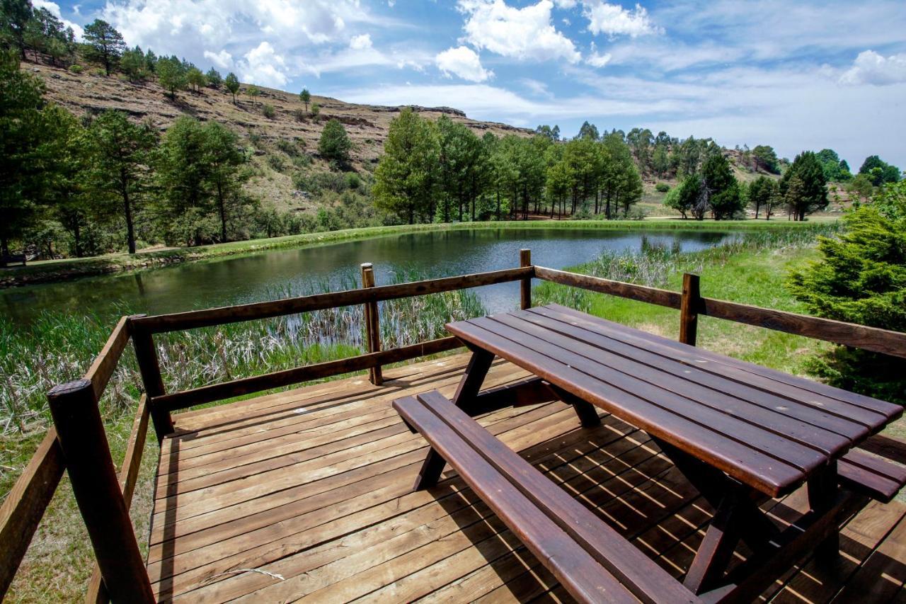 Meadow Lane Country Cottages อันเดอร์เบิร์ก ภายนอก รูปภาพ